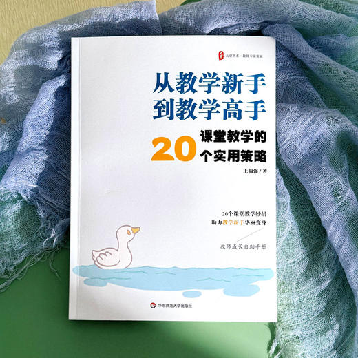 从教学新手到教学高手 课堂教学的20个实用策略 大夏书系 王福强 商品图1