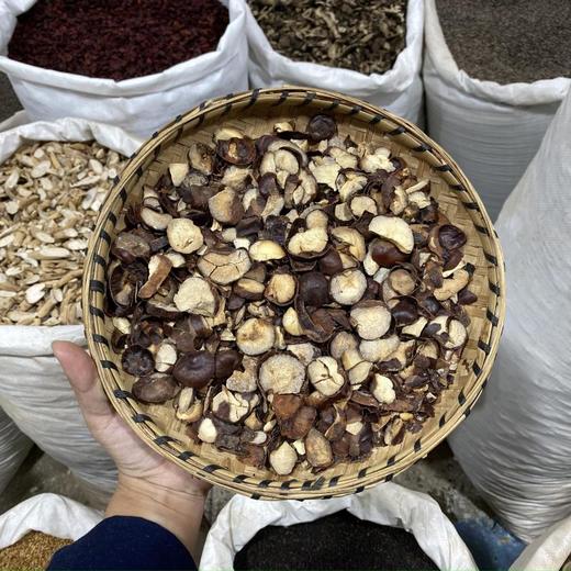 娑罗子 商品图0