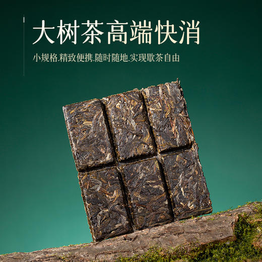 陈升号 2023忘年普洱生茶礼盒336g 商品图4