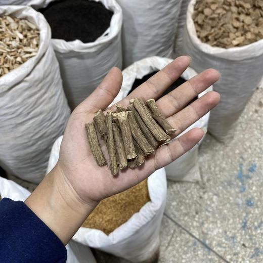 南木香 商品图4