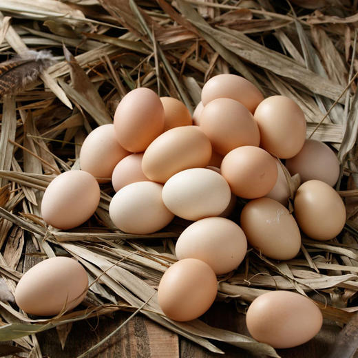 廉心  散养初生鸡蛋（30枚装） 商品图2