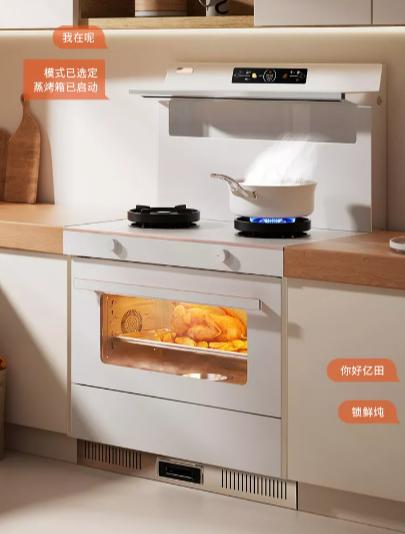 亿田/集成灶/D6ZK-C（CBB） 商品图0