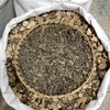 连钱草 透骨消 商品缩略图2