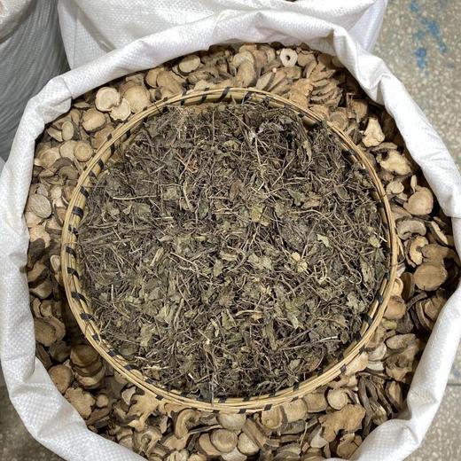 连钱草 透骨消 商品图2