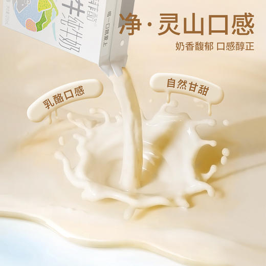 百菲酪 灵山牧场水牛纯牛奶 商品图4