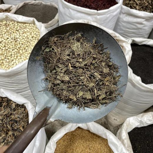 连钱草 透骨消 商品图3