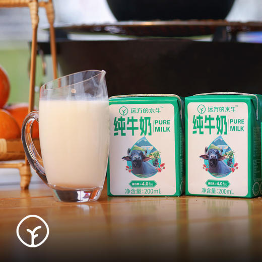 水牛奶200ml*10盒 商品图4