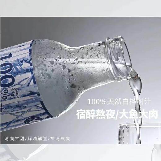桦树汁一瓶 商品图4