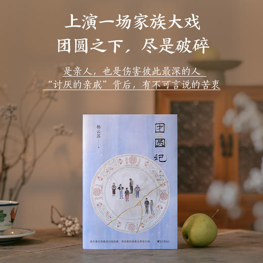 团圆记（此生漫长的路是回家的路，再决绝的逃离也终有归途  《幸得诸君慰平生》作者杨云苏（故园风雨前）长篇小说） 商品图1