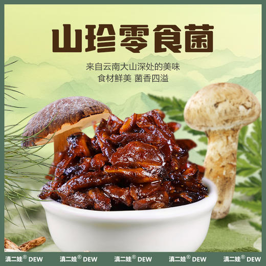 滇二娃云南特产即食香蕈菌鸡枞牛肝松茸香菇类菌子解馋小零食小吃 商品图0