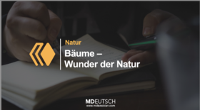 38.【自然】树木大自然的奇迹