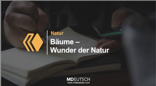 38.【自然】树木大自然的奇迹 商品图0