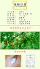 生态杏干 商品缩略图6