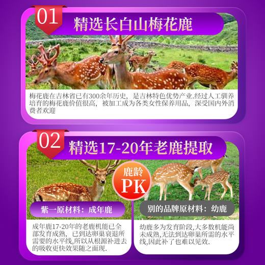 紫一鹿参膏 300g/瓶 商品图2