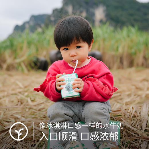 水牛奶200ml*10盒 商品图1