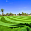 利雅得高尔夫俱乐部 Riyadh Golf Club | 利雅德高尔夫球场 | 沙特阿拉伯高尔夫球场俱乐部 商品缩略图2