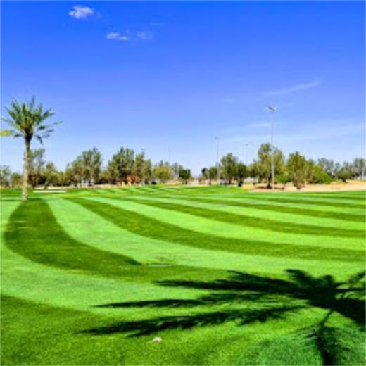 利雅得高尔夫俱乐部 Riyadh Golf Club | 利雅德高尔夫球场 | 沙特阿拉伯高尔夫球场俱乐部 商品图2