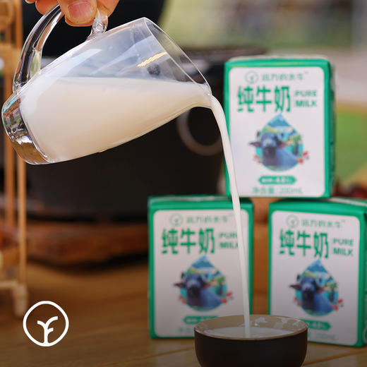水牛奶200ml*10盒 商品图2