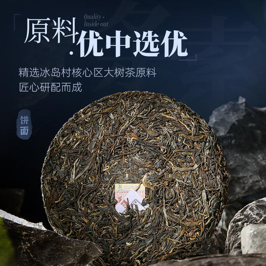 陈升号 2024年冰岛妙香357g（生茶） 商品图3