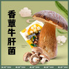 滇二娃云南特产即食香蕈菌鸡枞牛肝松茸香菇类菌子解馋小零食小吃 商品缩略图2