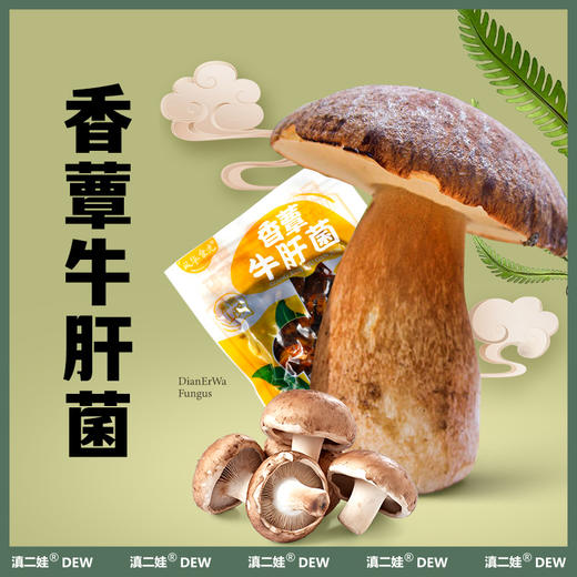滇二娃云南特产即食香蕈菌鸡枞牛肝松茸香菇类菌子解馋小零食小吃 商品图2