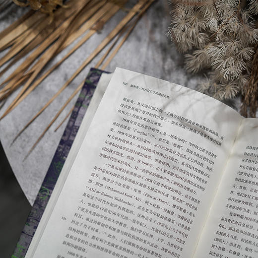 【从历史上看叙利亚的困境】《叙利亚：权力交汇下的破碎之地》（2024年10月出版） 商品图3