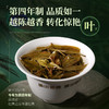 陈升号 2024年陈升孔雀357g（生茶） 商品缩略图1