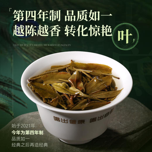 陈升号 2024年陈升孔雀357g（生茶） 商品图1