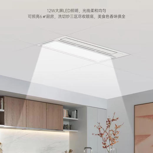 友邦友邦（YOUPON）厨房凉霸嵌入式冷霸吹风照明二合一净化厨卫风扇 FS221 商品图5