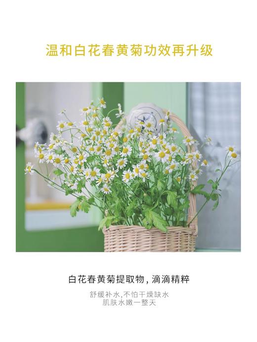 洋甘菊喷雾爽肤水官方正品旗舰店女补水保湿面部秋冬精华水柔肤水 商品图2