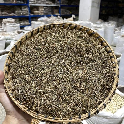 地锦草 商品图4