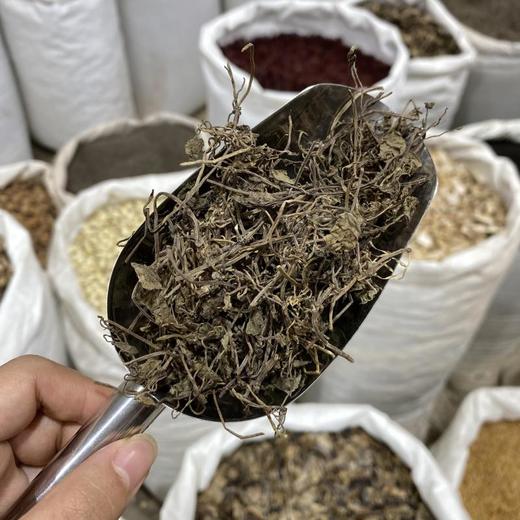 连钱草 透骨消 商品图4