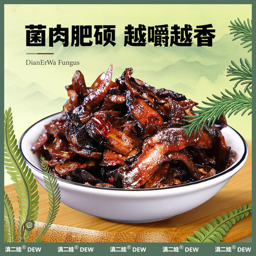 滇二娃云南特产即食香蕈菌鸡枞牛肝松茸香菇类菌子解馋小零食小吃 商品图4