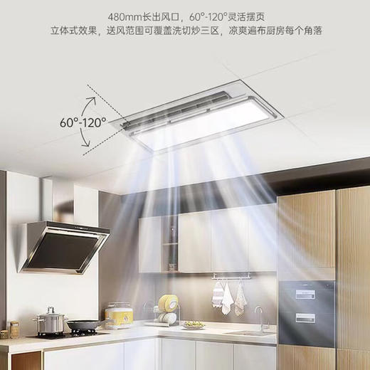友邦友邦（YOUPON）厨房凉霸嵌入式冷霸吹风照明二合一净化厨卫风扇 FS221 商品图4