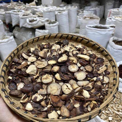 娑罗子 商品图4