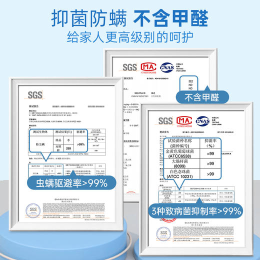 Nittaya泰国天然乳胶枕低枕 A-2733 商品图5