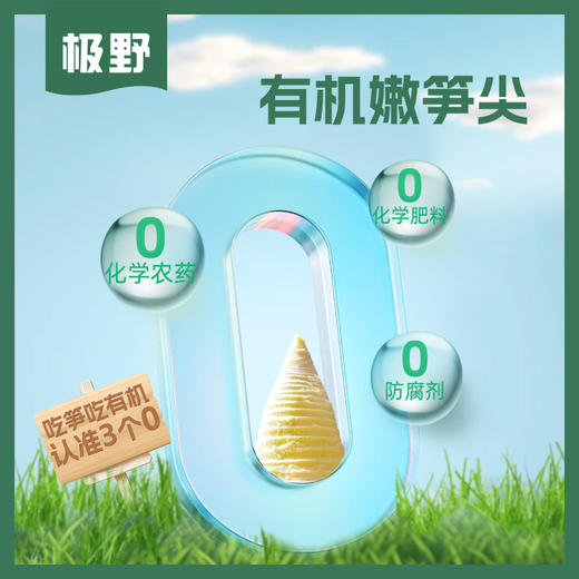 有机嫩笋尖200g/袋*3袋 商品图5