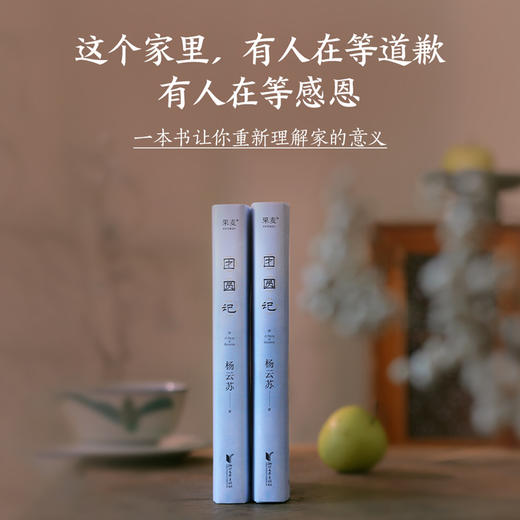 团圆记（此生漫长的路是回家的路，再决绝的逃离也终有归途  《幸得诸君慰平生》作者杨云苏（故园风雨前）长篇小说） 商品图3