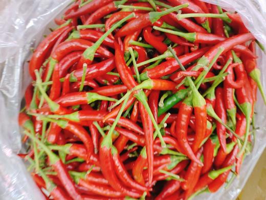 小米辣2斤 商品图2