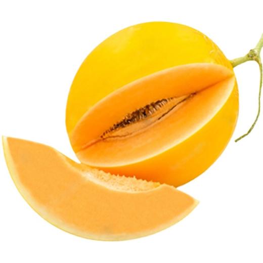 民勤金红宝沙漠蜜瓜 清甜脆爽 多汁如蜜 瓜香浓郁 商品图5