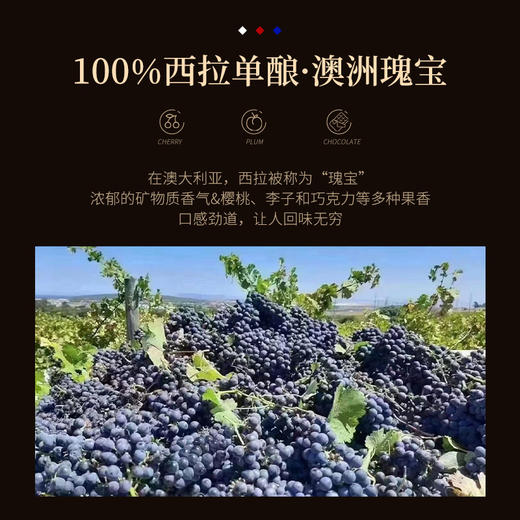 【中澳建交52周年限定款】澳邑王西拉干红葡萄酒 首任驻华大使斯蒂芬博士推荐 澳大利亚麦克拉伦谷 14.5%vol 商品图5