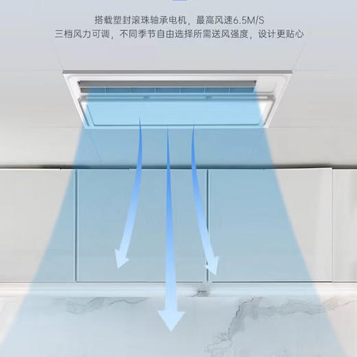 友邦友邦（YOUPON）厨房凉霸嵌入式冷霸吹风照明二合一净化厨卫风扇 FS221 商品图3