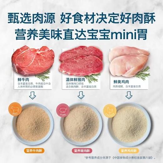 【买4送2】禾泱泱牛肉酥营养无调味猪肉牛肉酥无添加食用盐糖肉松/HYY-510922/HYY-510939/HYY-100311 商品图2