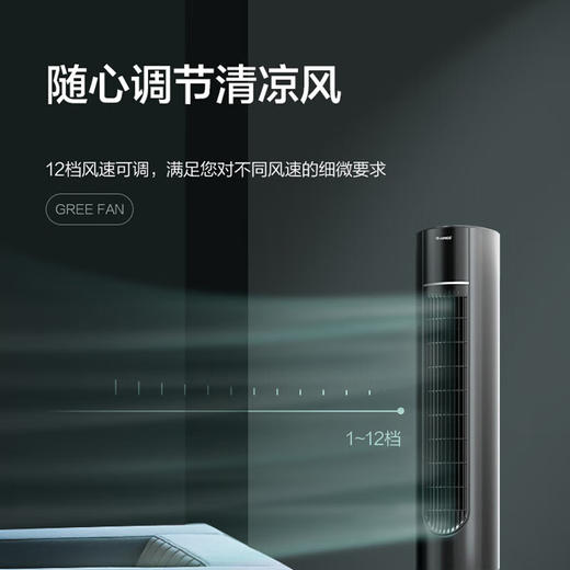 格力（GREE）冷暖塔扇塔式落地扇遥控家用风扇电风扇家用取暖器空气清新塔扇（FL-10X61RBg） 商品图5