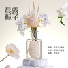 【花艺无火香薰】礼物香薰 卧室室内空气芳香剂香薰 送朋友 教师节礼物 商品缩略图5