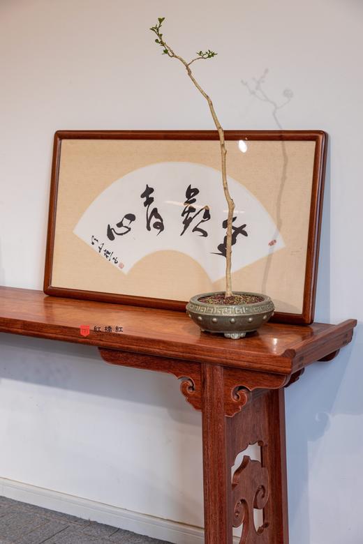 红桥红  家具严选  缅甸花梨(大果紫檀）  【混搭空间】 商品图3