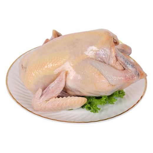 廉心  农家土鸡 （200天数以上） 商品图5