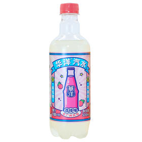 华洋1982果汁汽水荔枝味500ml(6973782441054)