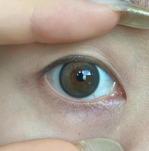 Jellydoll 日抛 玉蓝青花 14.5mm 青褐棕色 一盒十片 有月抛 商品图7