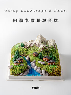 阿勒泰微景观艺术蛋糕